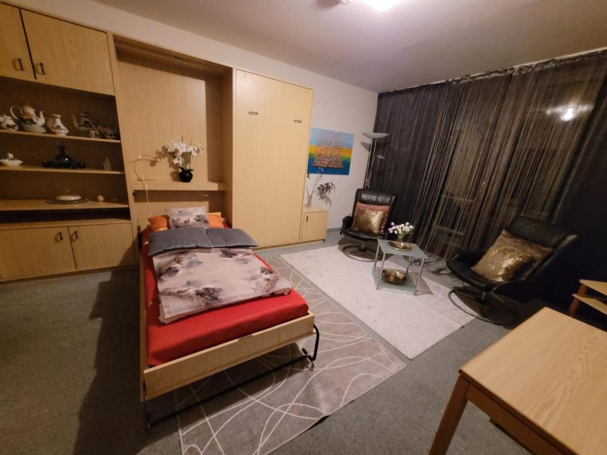 Appartement An Der Weinstrasse バート・ベルクツァーバーン エクステリア 写真